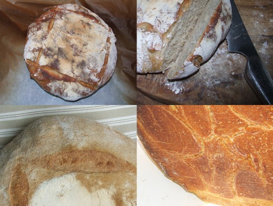 Galería de pan, distintos tipos