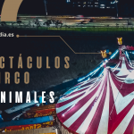 3 Espectáculos de circo sin animales